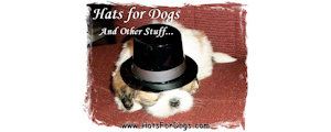 Hats for Dogs